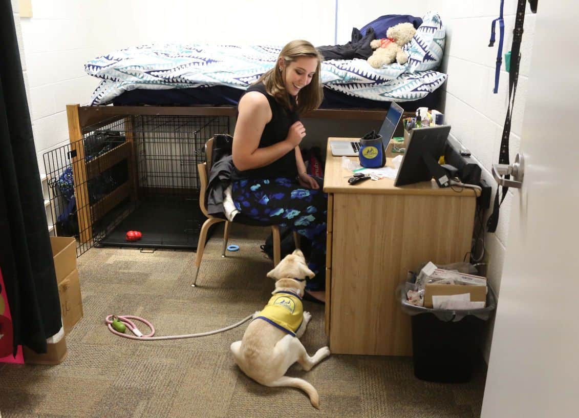 college student with therapy dog