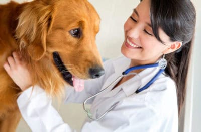 Pet Health