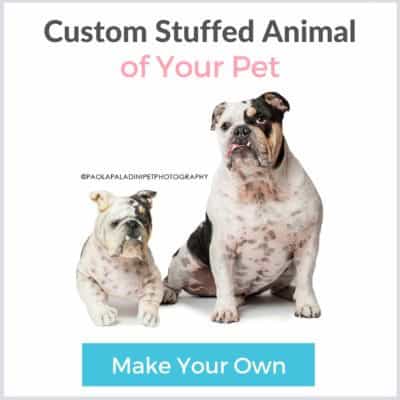How to Make Your Own Dog Poop Scooper A Step by Step Guide Petsies