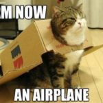 top-30-funny-cat-memes-and-quotes-very-funny