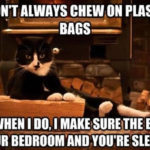funny-plastic-bag-cat-memes