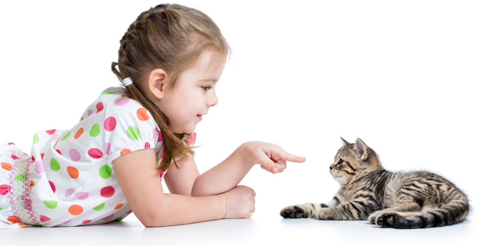 zwaar Hub Stoffelijk overschot A Kid and Their Pet: The Benefits Pets Have on Kids | Petsies