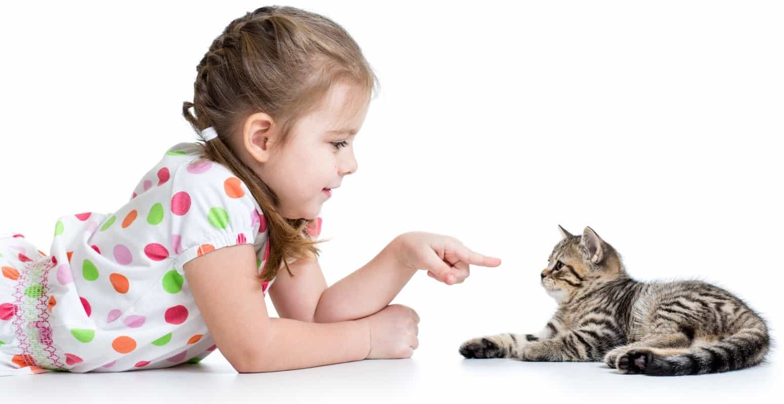 Pet child deals