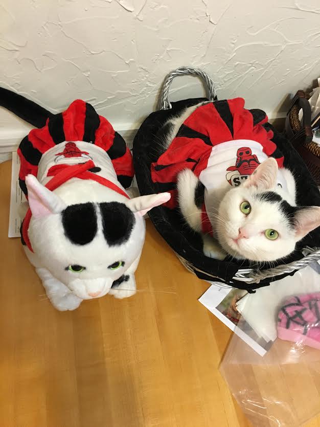 petsies costumes 