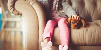 pets best