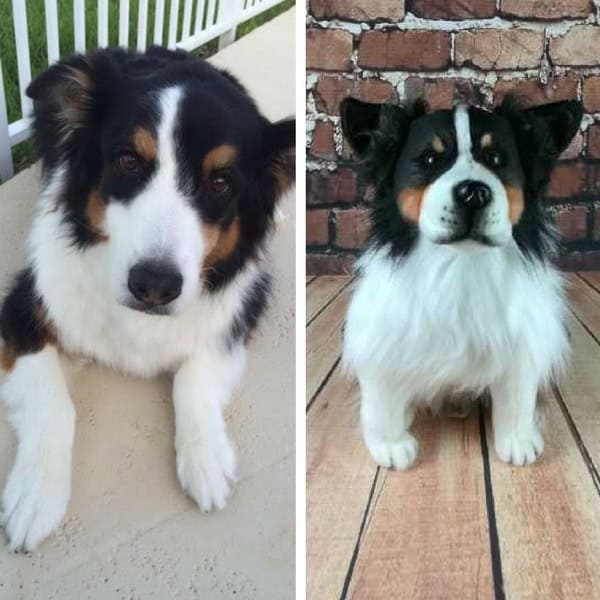 The Most Unique Pet Gift Ideas | The Petsies Blog