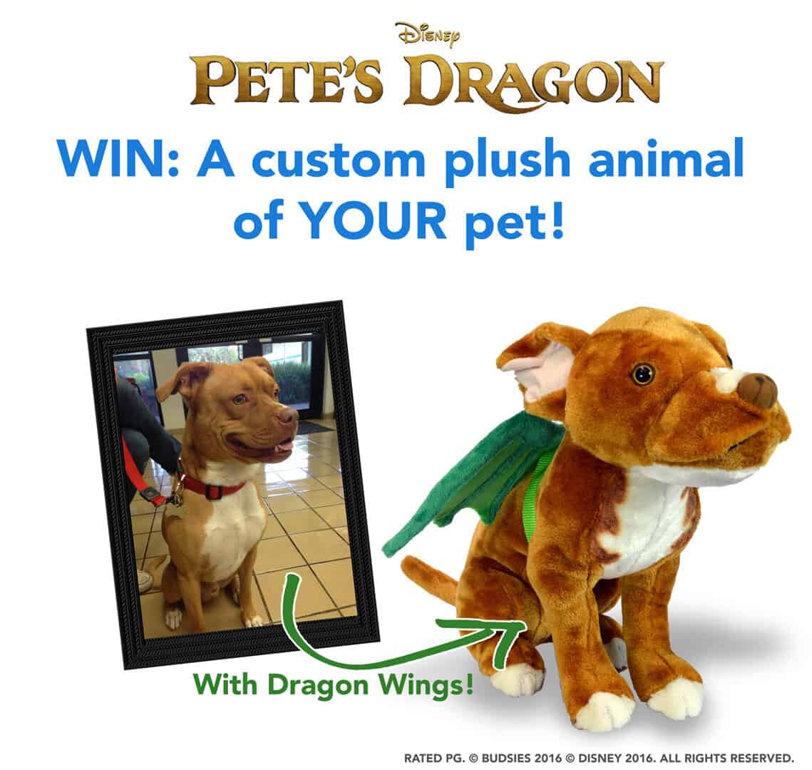 petes dragon sweepstakes