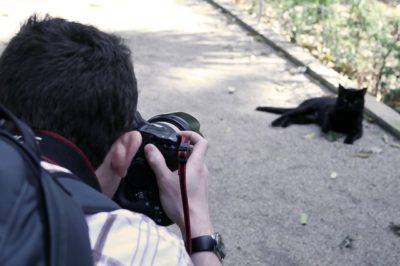 Pet Photoshoot