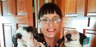 pet with physical limitations