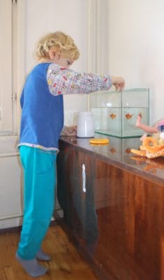 Child feeding fish