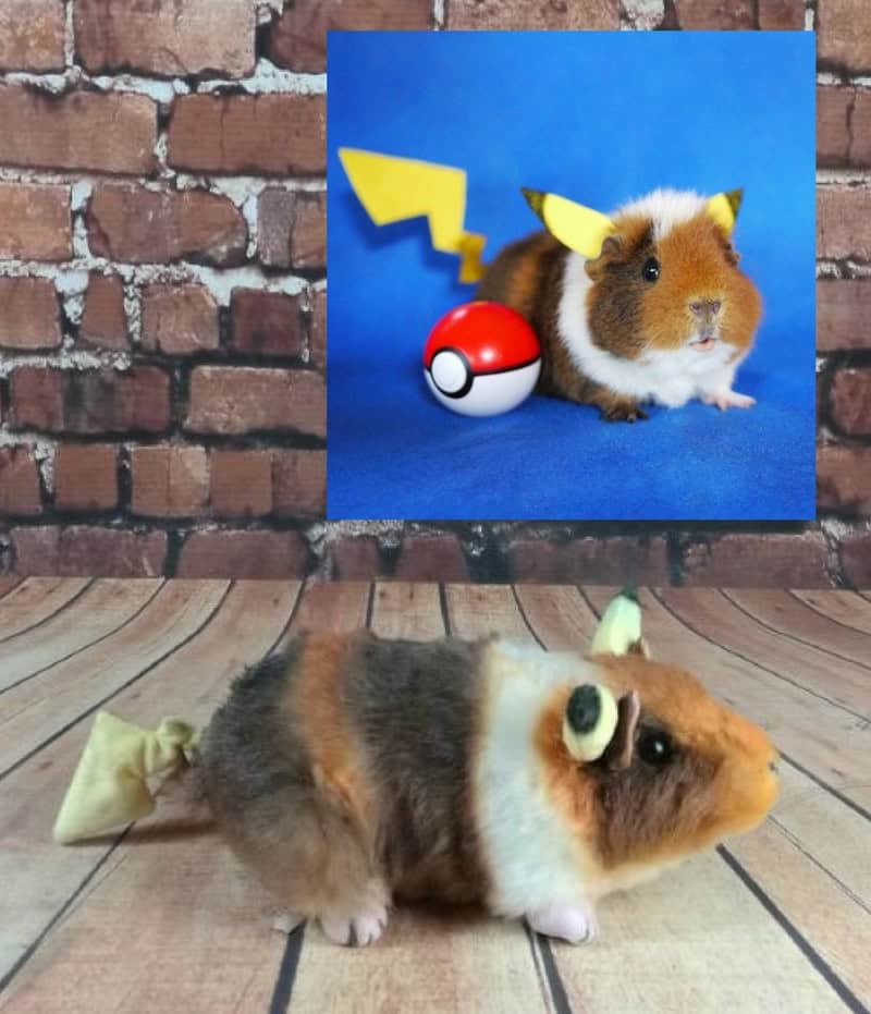 Fuzzberta Pikachu