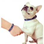 best friends collar bracelet 2