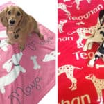 personalized dog blankets – the smoothe store