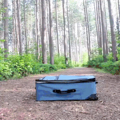 pets_carrier