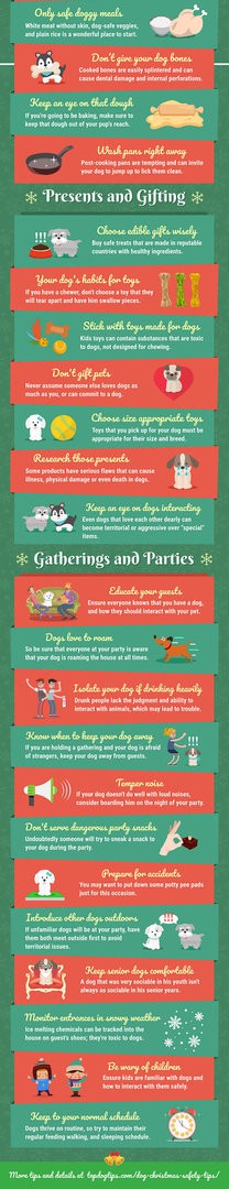 christmas safety tips for pets 2