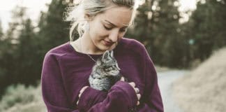 Pet Healthcare