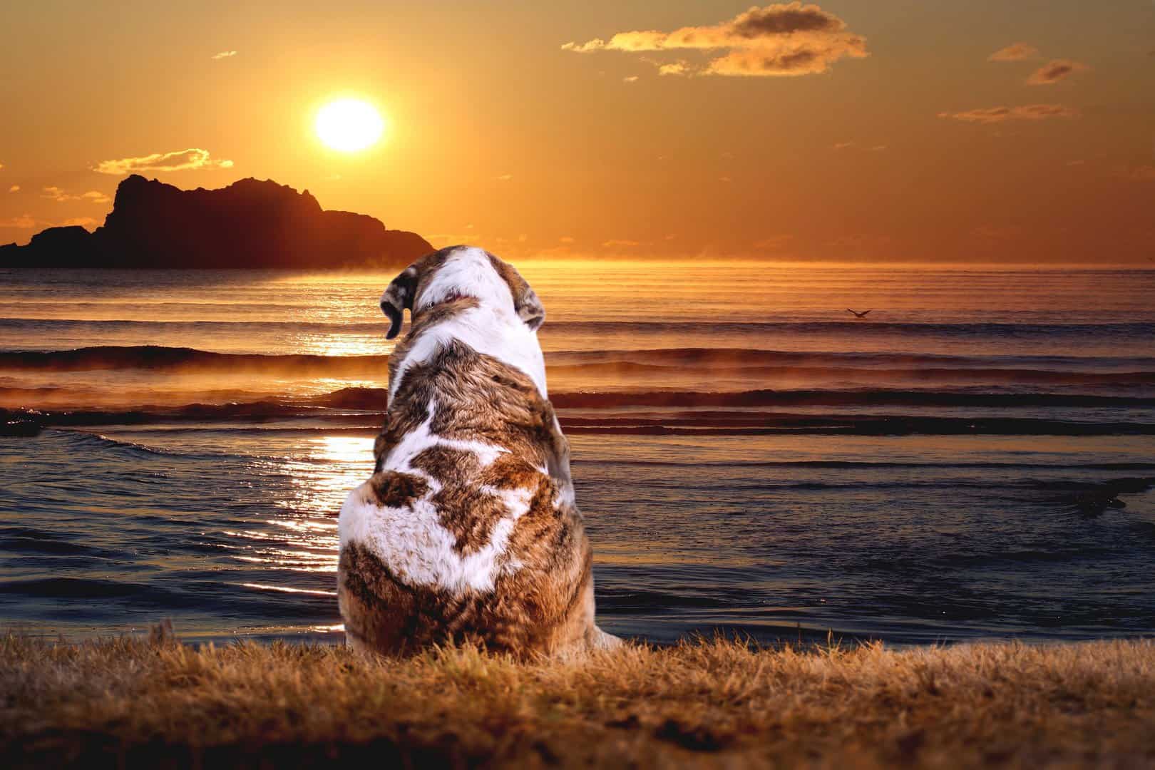 sunset-3132974_1920