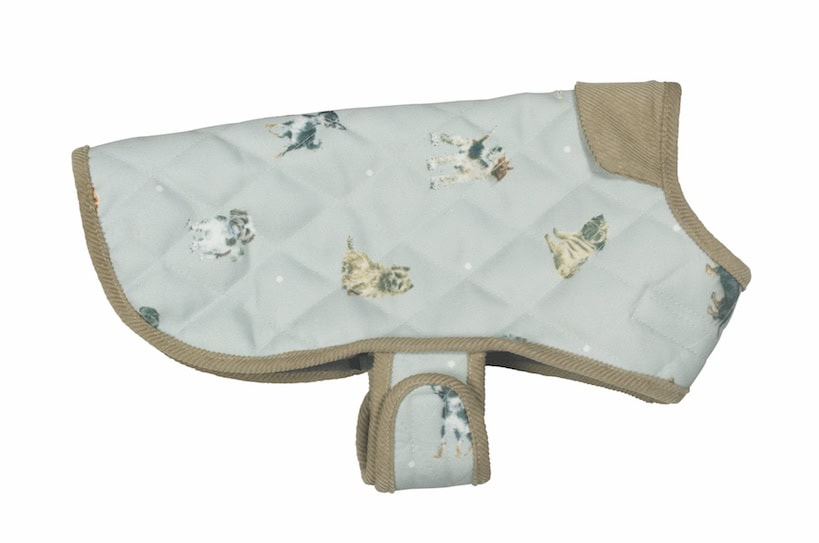 Dog Coat