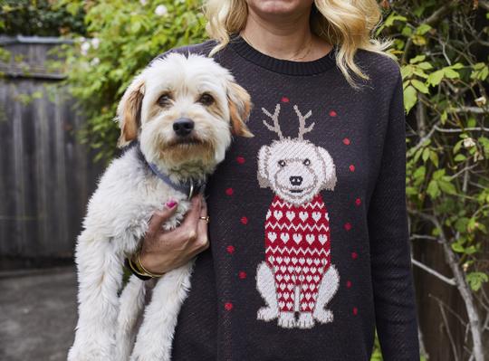 holiday gift for pet lovers