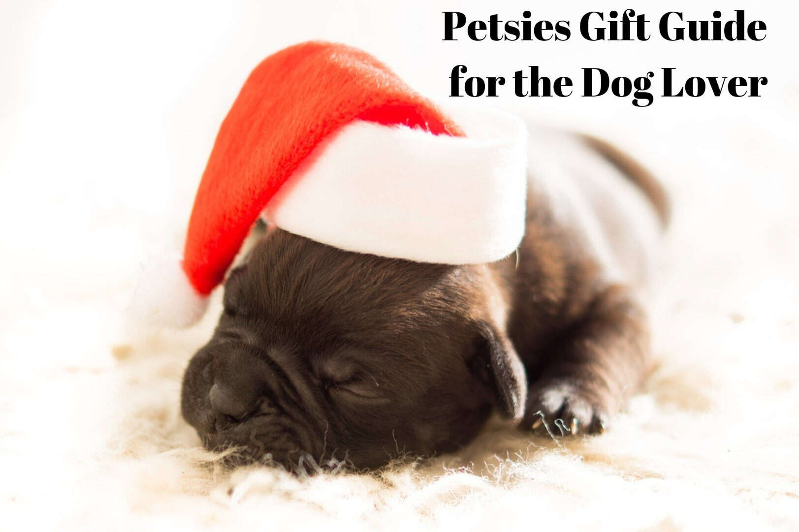 Petsies Dog Lover’s Gift Guide