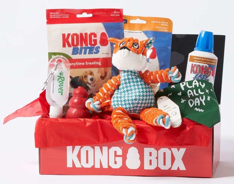 Kong and rover box