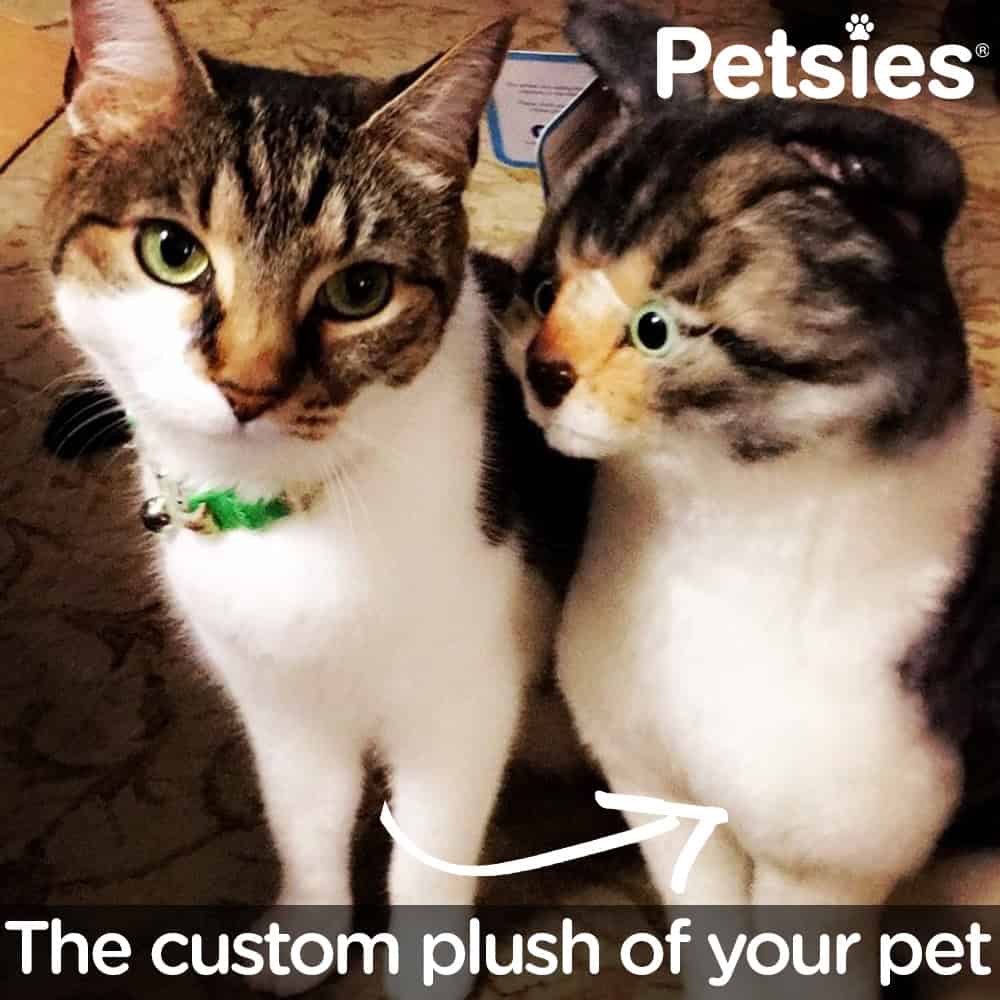 custom stuffed animal of your cat