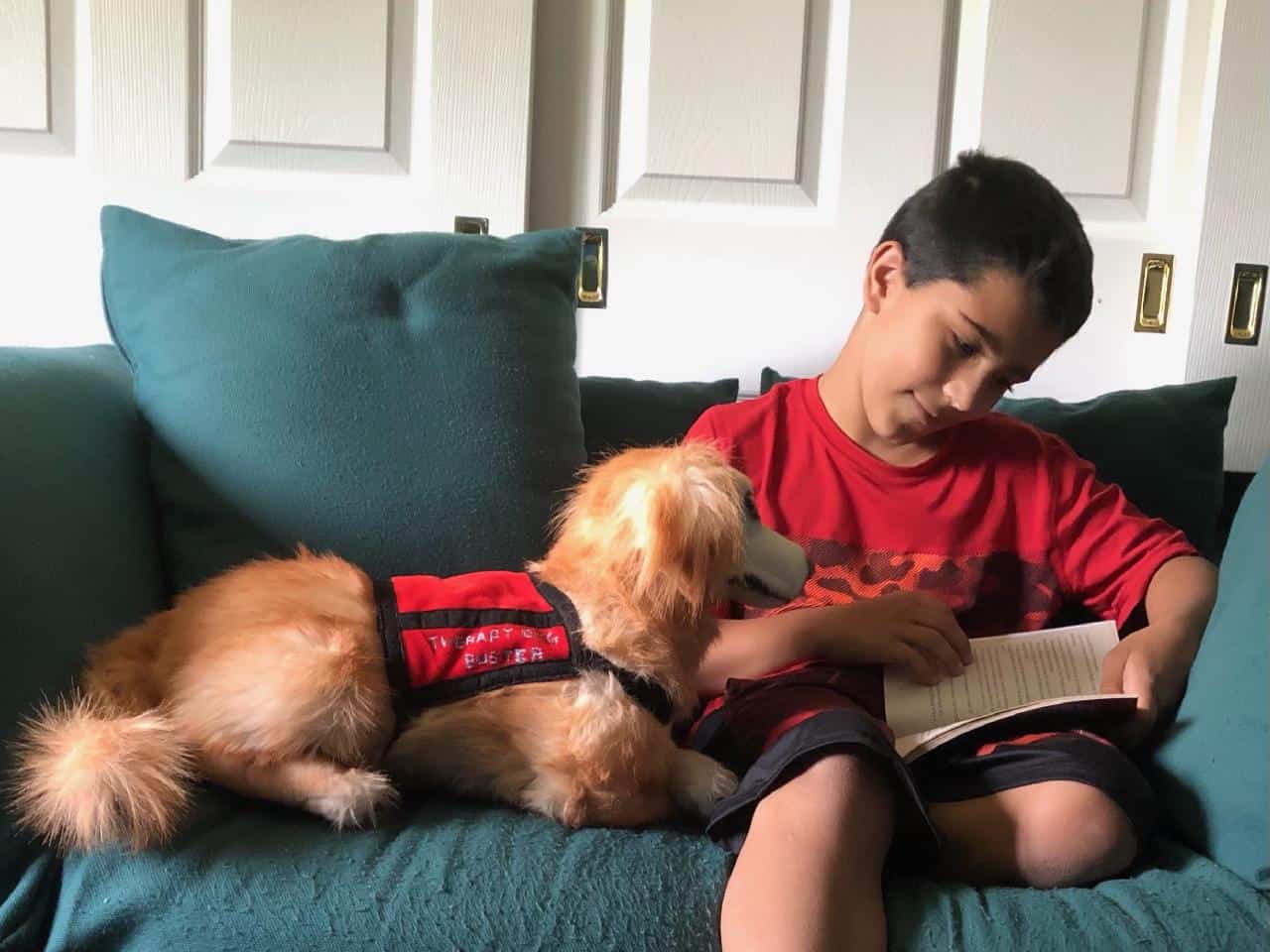 Petsies Spotlight: The Buster Reading Program