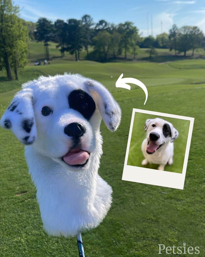 Golf Club Headcover Custom of pet
