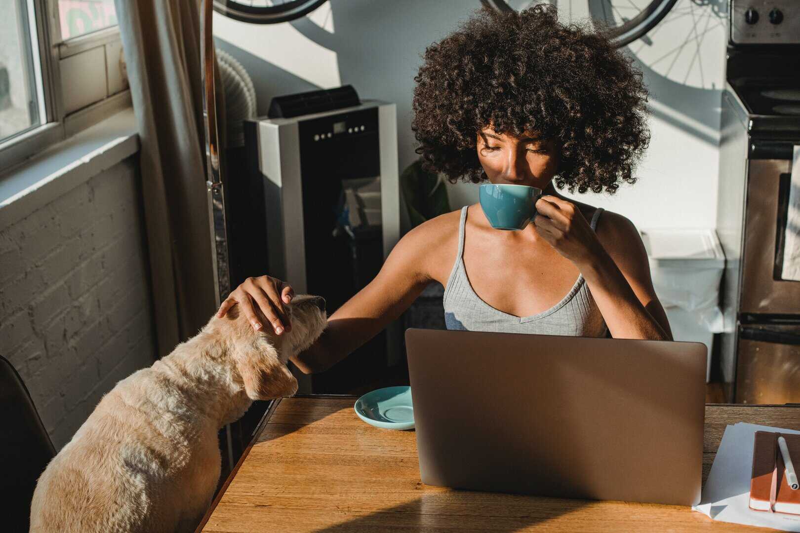 How to Work From Home with a Dog