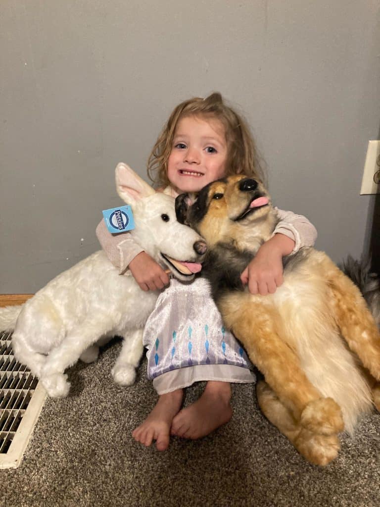 Bringing Comfort After Loss with Petsies