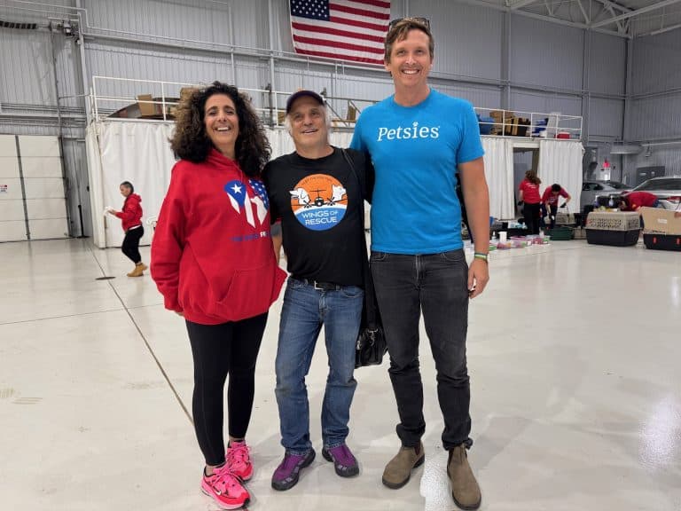 Petsies CEO Joins The Sato Project & Wings of Rescue to Help Homeless Pets 