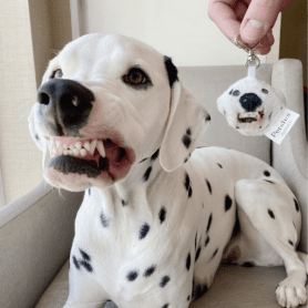 custom pet keyring