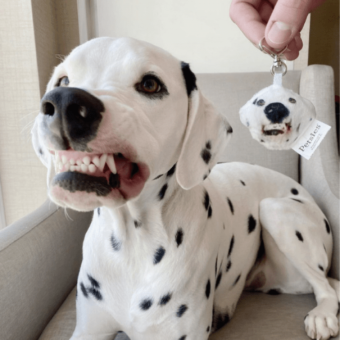 Personalized Dog Keychains