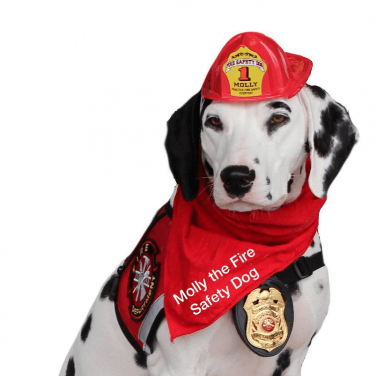Molly the Fire Safety Dog