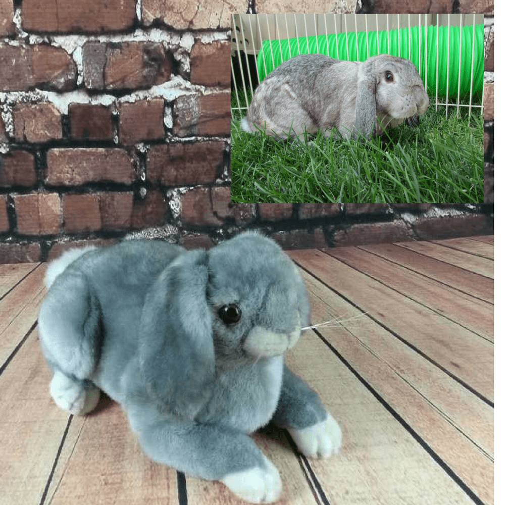 custom stuffed bunny