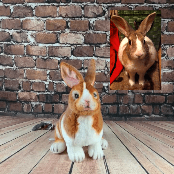 custom bunny stuffed animal