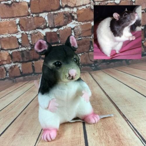 custom guinea pig plush