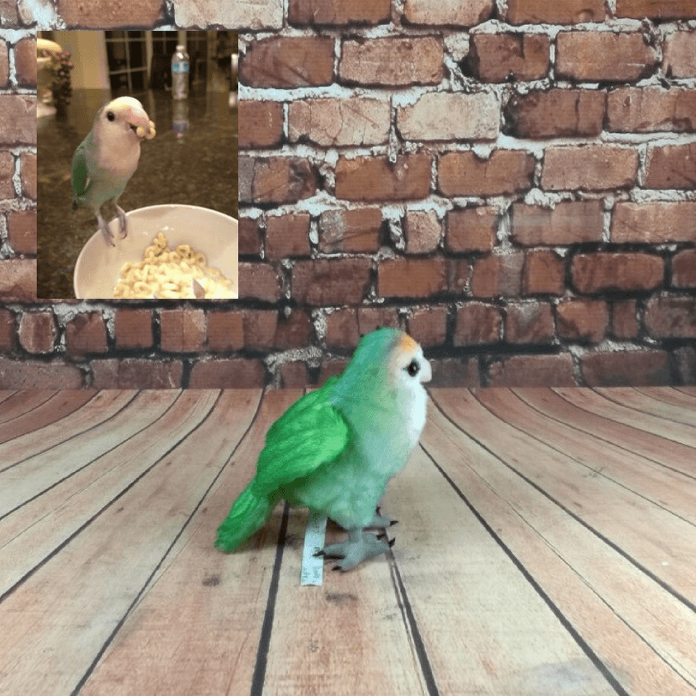 bird stuffed animals