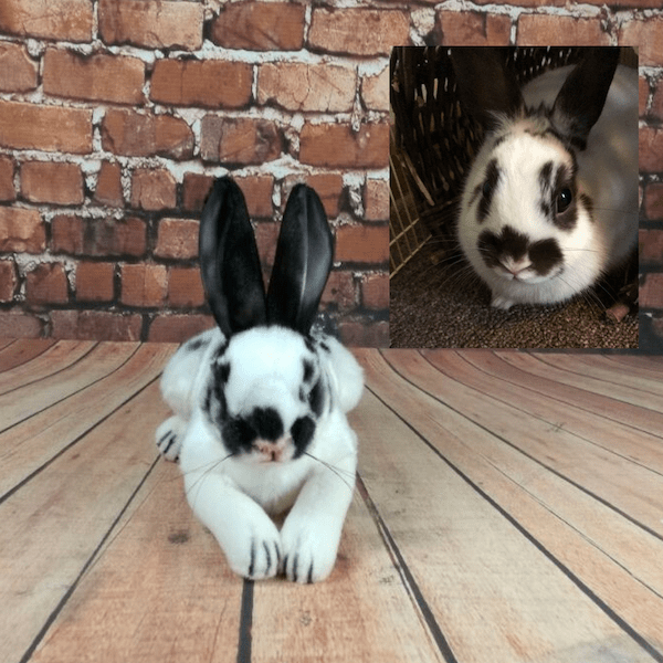 stuffed bunnies that look real
