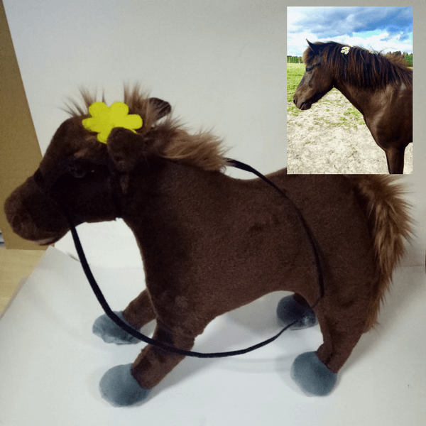 mypetsies reviews