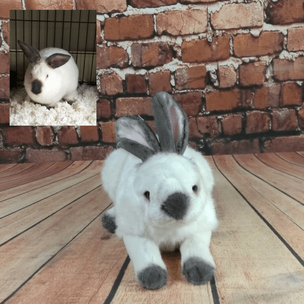custom stuffed bunny