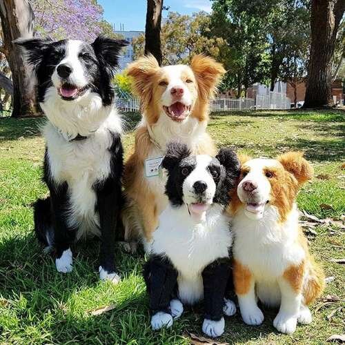 stuffed collie dog