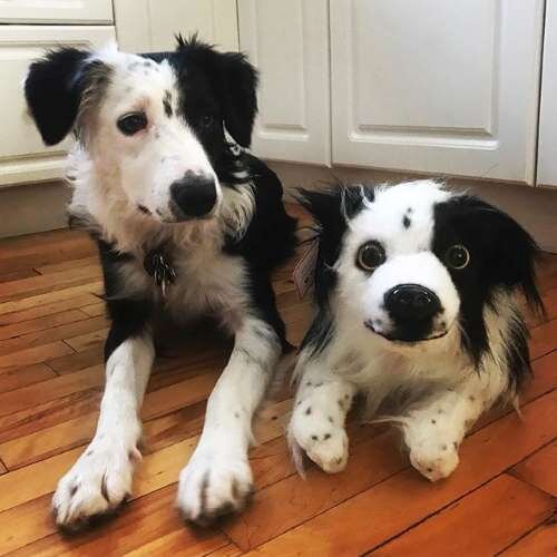stuffed collie dog