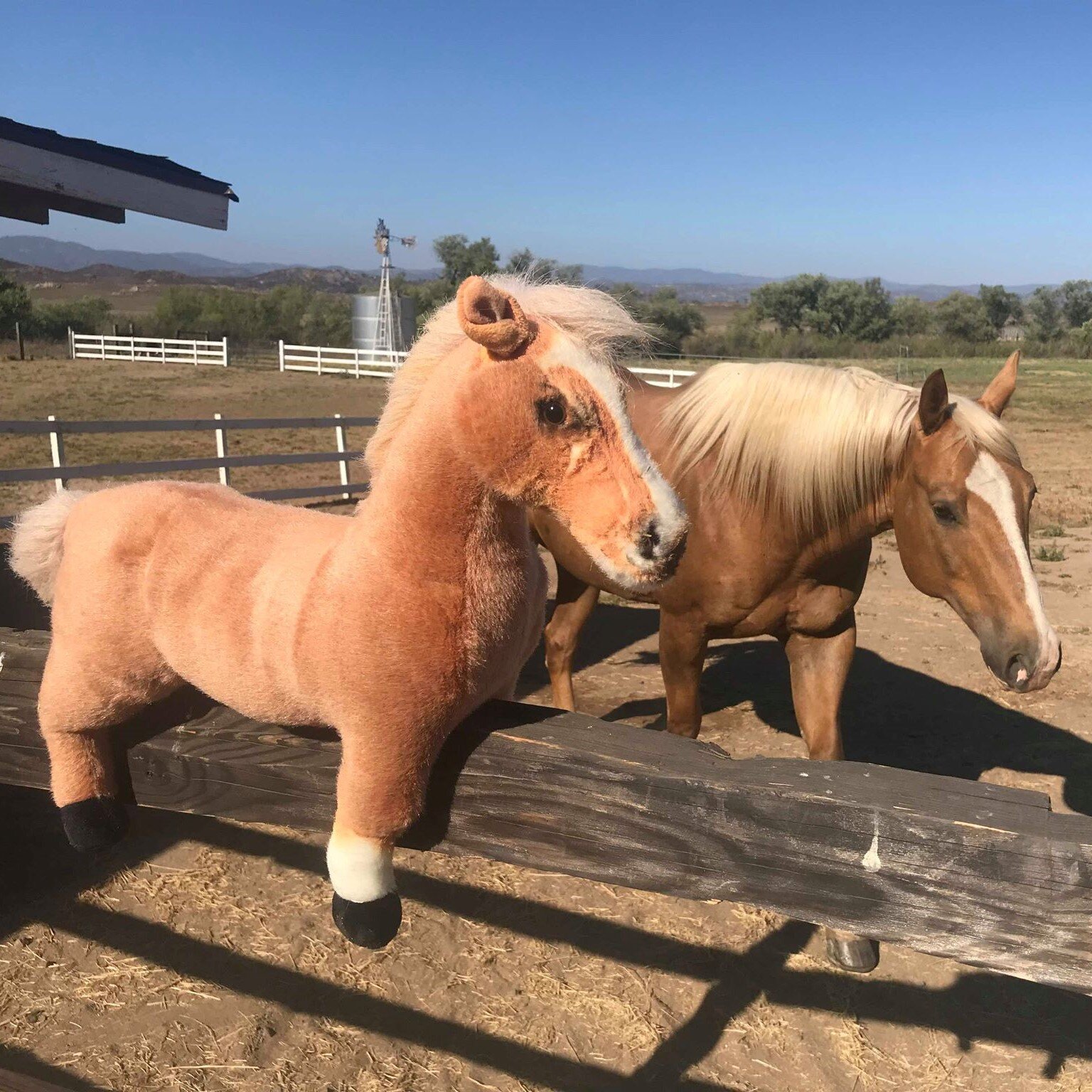 Custom Horse Stuffed Animal