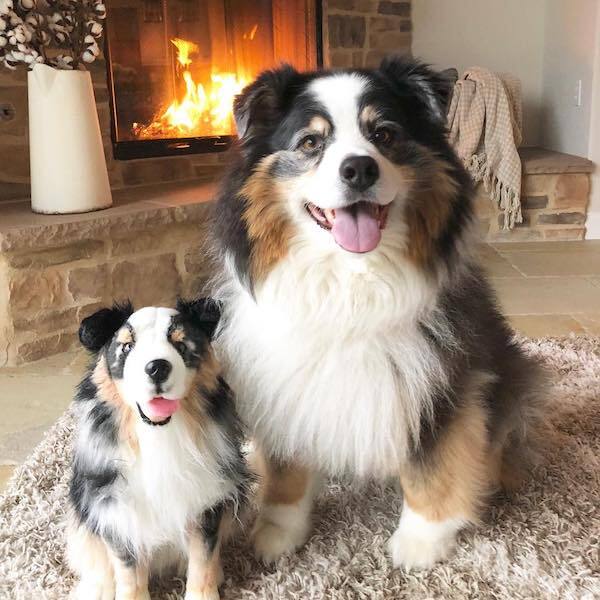 blue merle australian shepherd stuffed animal