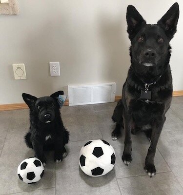 stuffed german shepherd police dog