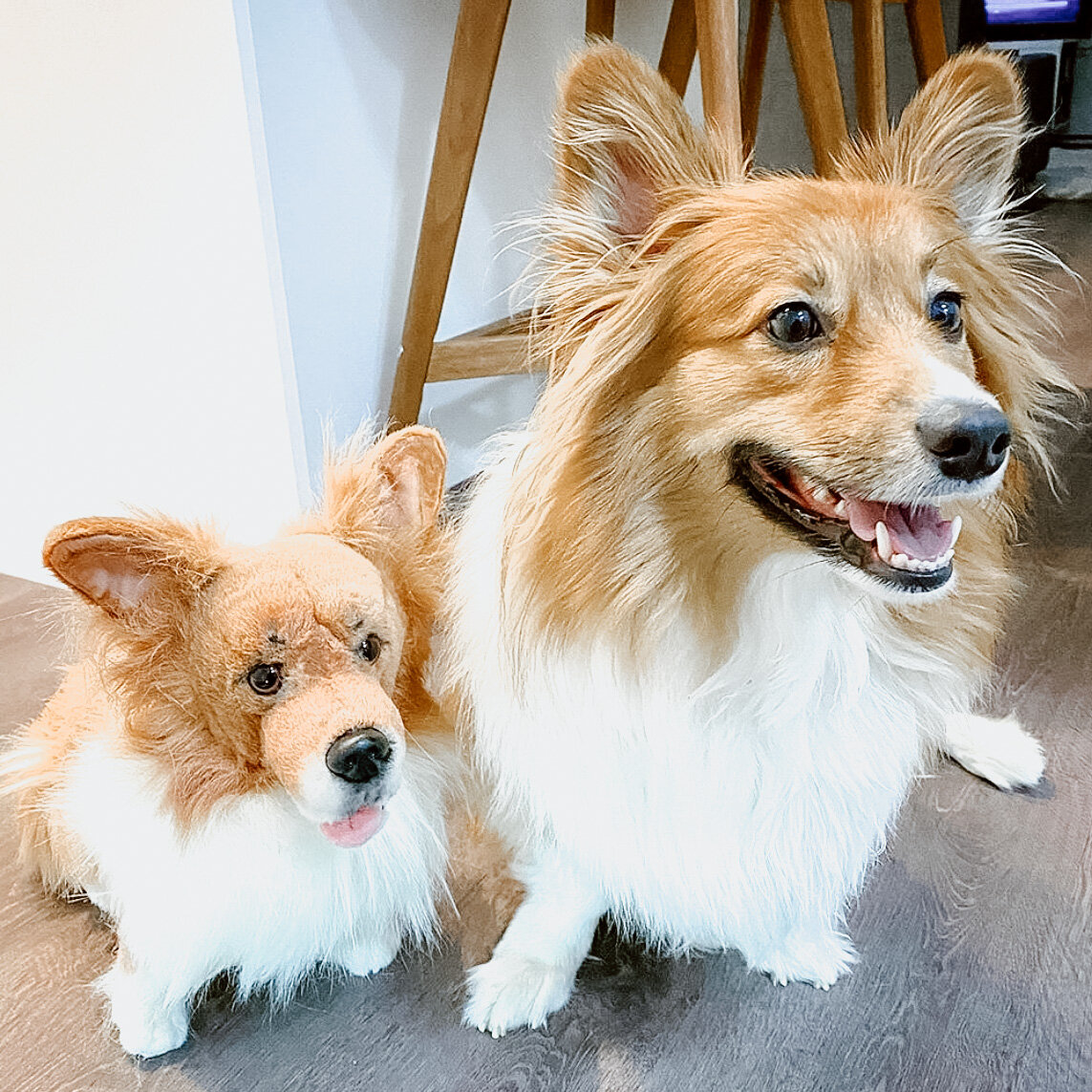 Stuffed Animal Custom Gift