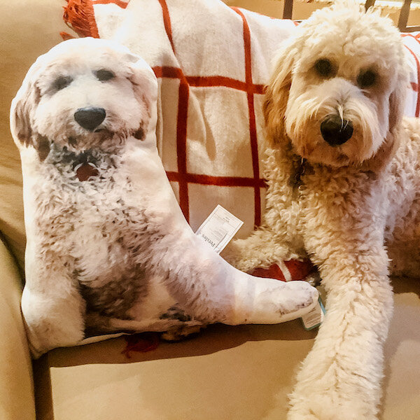 Personalized Pet Animal Plush Pillow 3