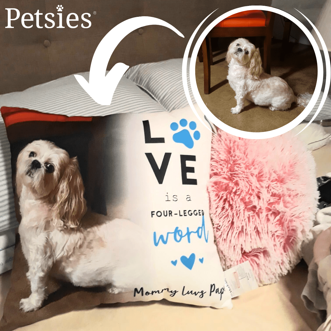 pet pillow 
