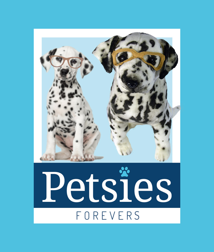 turn a picture of your pet into a stuffed animal
